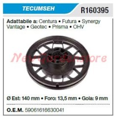 Polea de transmisión TECUMSEH cortacésped cortacésped futura synergy R160395 | NewgardenParts.com