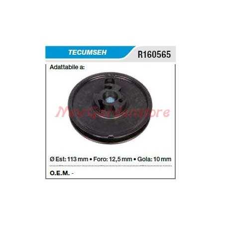 Poulie de transmission TECUMSEH tondeuse à gazon R160565 | NewgardenParts.com
