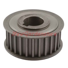 PULLEY TOOTHED Riementrieb Rasentraktor AL-KO AK473828 | NewgardenParts.com