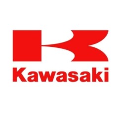 Puleggia di avviamento decespugliatore modelli TD24 TD33 59101-2057 KAWASAKI | NewgardenParts.com