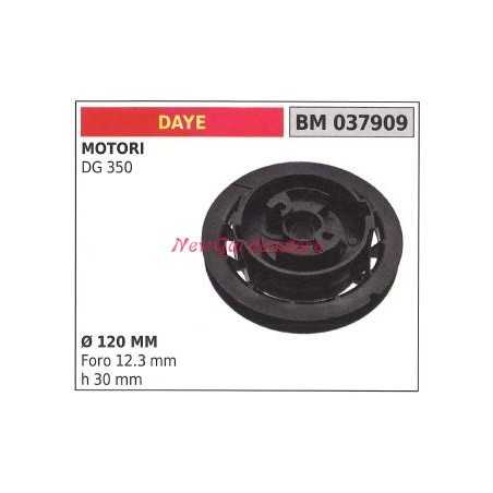 Startscheibe DAYE Rasenmähermotor DG 350 Ø 120 MM 037909 | NewgardenParts.com