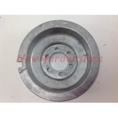 Polea de arranque de motoazada LOMBARDINI LDA 91 96 100 820 006560 | NewgardenParts.com