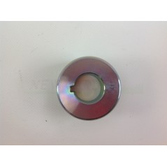 Polea de motor BRIGGS & STRATTON ZS7015780YP | NewgardenParts.com