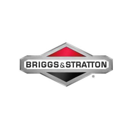 Puleggia ORIGINALE BRIGGS & STRATTON 1732123SM | NewgardenParts.com