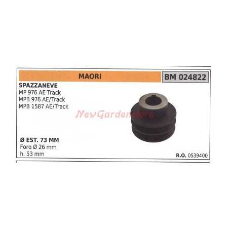 Puleggia per spazzaneve MP 976AE TRACK MAORI 024822 | NewgardenParts.com