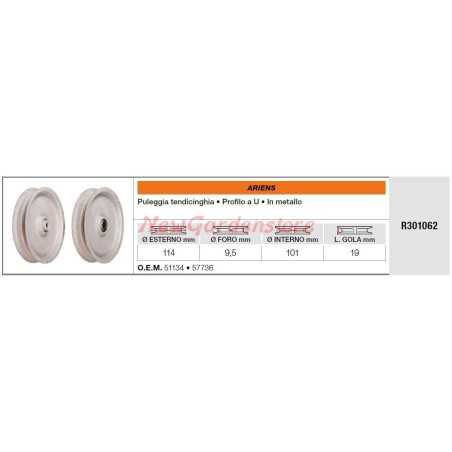 Polea loca ARIENS para tractor de césped R301062 | NewgardenParts.com