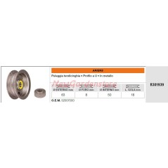 ARIENS Umlenkrolle für Crossover-Rasentraktor R301939 | NewgardenParts.com
