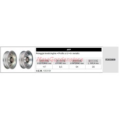 AYP Riemenspannrolle für Rasentraktor R303809 | NewgardenParts.com