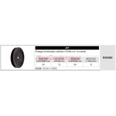 Umlenkrolle AYP für Rasentraktor R303802 | NewgardenParts.com