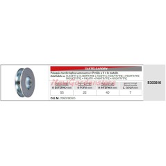 Umlenkrolle CASTELGARDEN Rasentraktor Mäher Mähwerk CL434TR R303810 | NewgardenParts.com