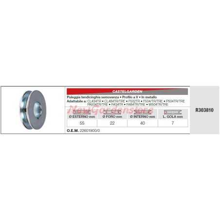 Idler pulley CASTELGARDEN lawn tractor mower mower CL434TR R303810 | NewgardenParts.com