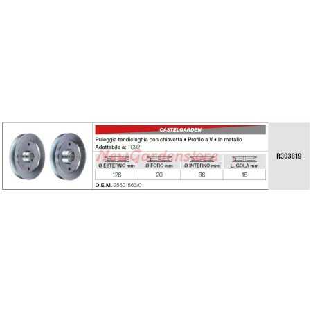 Umlenkrolle CASTELGARDEN Rasentraktor Rasenmäher TC92 R303819 | NewgardenParts.com