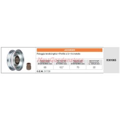 Riemenspannrolle JACOBSEN Rasentraktor R301065 | NewgardenParts.com
