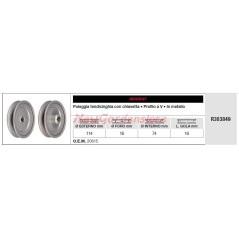 Polea del tensor de la correa Cortadora de césped tractor MURRAY R303849 | NewgardenParts.com