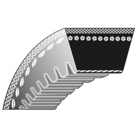 Cinghia semovenza dentatura interna IBEA rasaerba 5309 5314 5328 5329 530 VARIO | NewgardenParts.com