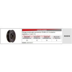 CASTELGARDEN kompatible Treibscheibe CASTELGARDEN Rasenmäher RL484 R303818 | NewgardenParts.com