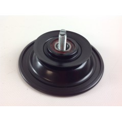 Treibscheibe für BRIGGS & STRATTON Rasentraktor | NewgardenParts.com
