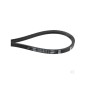 Mechanical tractor drive belt compatible CASTELGARDEN TC102 first 2000