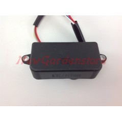 Regolatore tensione automatico DUCAR per generatore DG 3000 T TB 038196 | NewgardenParts.com