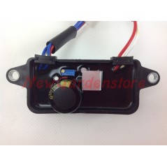 Regolatore tensione automatico DUCAR per generatore DG 3000 T TB 038196 | NewgardenParts.com