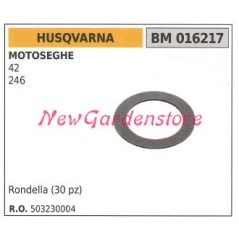 Arandela 30 piezas Bomba de aceite motor motosierra HUSQVARNA 42 246 016217 | NewgardenParts.com