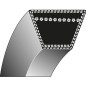 Trapezförmiger Riemen 9,5 x 1368 KLIPPO 31 E 502 94 66-01 Rasenmäher