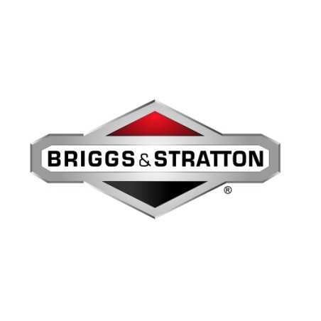 Arandela para cortacésped BRIGGS & STRATTON 1709256 | NewgardenParts.com