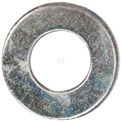 Rondella ORIGINALE BRIGGS & STRATTON 703590 | NewgardenParts.com
