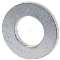 Rondella ORIGINALE BRIGGS & STRATTON 703853 | NewgardenParts.com