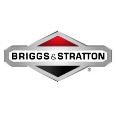 BRIGGS & STRATTON Rasentraktor-Mähwerkscheibe 1401102MA | NewgardenParts.com