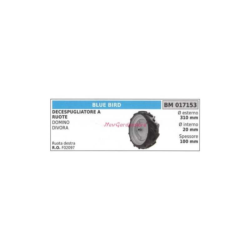 BLUE BIRD Rad BLUE BIRD Radbürstenmäher DOMINO DIVORA 017153