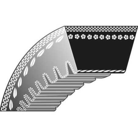 Correa trapezoidal para cortacésped 22-362 AS-MOTOR | NewgardenParts.com