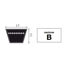 Cinghia trapezoidale sezione B103 sviluppo primitivo 2656 mm macchina agricola