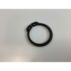 Seeger 24X1,75 E 74 ORIGINALE GOLDONI 06240089 | NewgardenParts.com