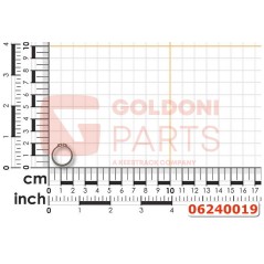 Seeger 30X1,5 mm E 74 ORIGINALE GOLDONI 06240019 | NewgardenParts.com
