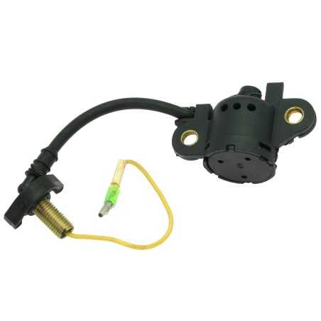 Engine oil sensor motor cultivator LT200 LT270 LT390 LAUNTOP 16012005 | NewgardenParts.com