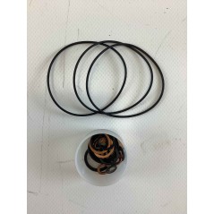 Serie guarnizioni idroguida ORIGINALE GOLDONI 02060069 | NewgardenParts.com