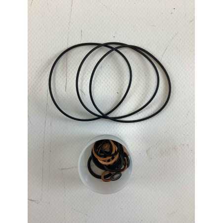 Serie guarnizioni idroguida ORIGINALE GOLDONI 02060069 | NewgardenParts.com