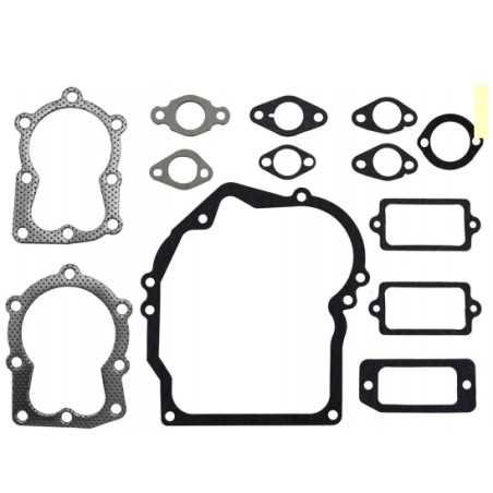 Motordichtsatz ASPERA - TECUMSEH - TECNAMOTOR Rasenmähermotor LAV 30 LAV 35 | NewgardenParts.com