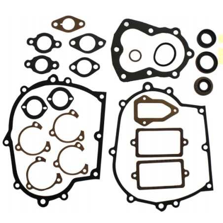Juego juntas motor ASPERA - TECUMSEH motor cortacésped V50 H40 VH60 HH60 | NewgardenParts.com