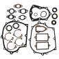 ASPERA engine gasket set - TECUMSEH lawn mower motor V50 H40 VH60 HH60