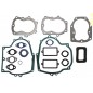 Juego de juntas motor ASPERA - TECUMSEH para cortacésped VM70 HM70 TVM TVXL195 Juego de juntas motor ASPERA - TECUMSEH para cortacésped VM70 HM70 TVM TVXL195