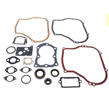 BRIGGS&STRATTON Motormäher Dichtungssatz 100900 130900 131900 | NewgardenParts.com