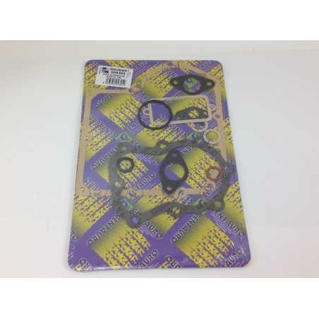 Kit gaskets ACME petrol engine AL 290 AL 330 A2413 | NewgardenParts.com