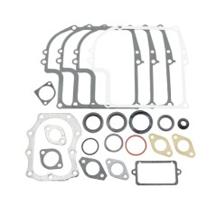 BRIGGS&STRATTON seal kit series 320027 299577 old engines 7 8HP
