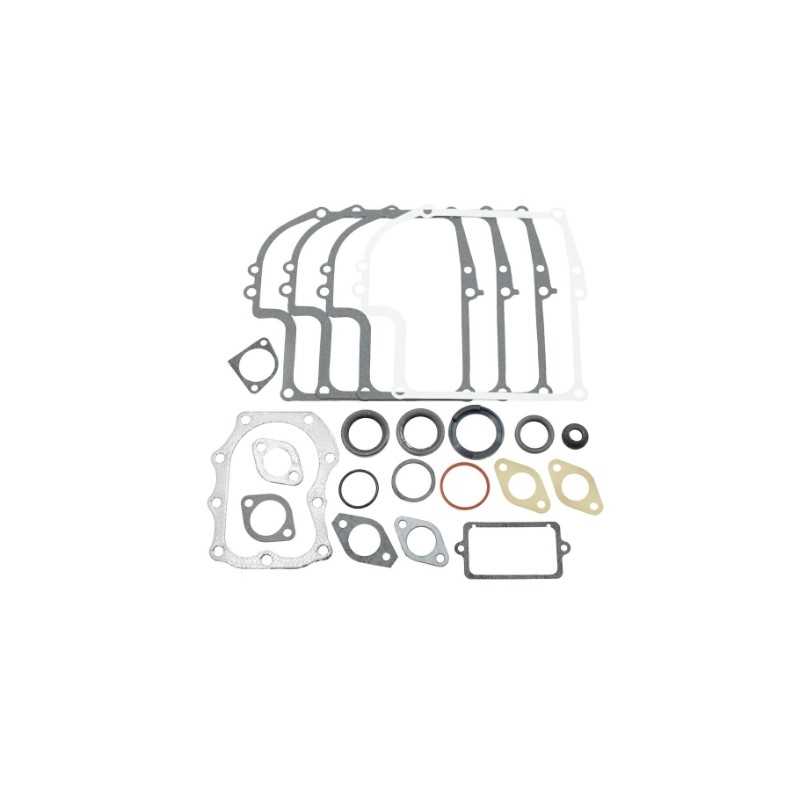 BRIGGS&STRATTON Dichtungssatz Serie 320027 299577 alte Motoren 7 8HP