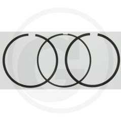 Satz Original BRIGGS & STRATTON Rasenmähermotorstößel | NewgardenParts.com
