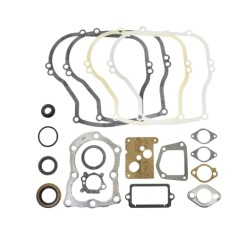 Serie segmenti kit guarnizioni BRIGGS STRATTON 320025 297616 motori vecchi 5HP | NewgardenParts.com