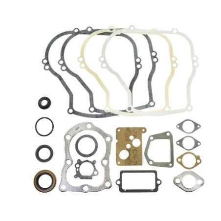 Serie segmenti kit guarnizioni BRIGGS STRATTON 320025 297616 motori vecchi 5HP | NewgardenParts.com