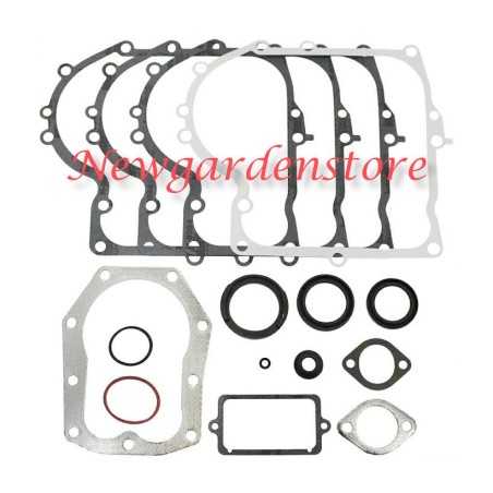 Serie segmenti kit guarnizioni BRIGGS STRATTON 494241 490525 49421ultimi 12 13HP | NewgardenParts.com